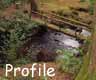 Community Profile